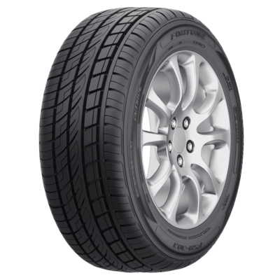 Шина Fortune FSR-303 255/50 R19 107V